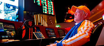 Casino Dragon Money